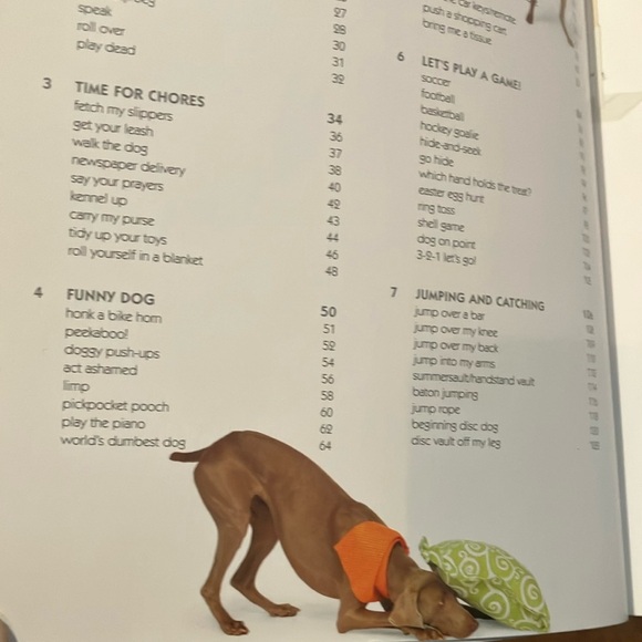 101 Dog Tricks Book: step by step activities to engage, challenge and bond - Picture 7 of 16